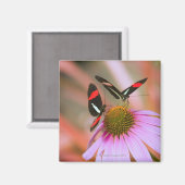 oregon , usa 3 magneet (Voorkant / Achterkant)