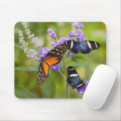 oregon , vs muismat (Met muis)