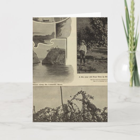 Oregon, waar elk vooruitzicht pleiten kaart (Voorkant)