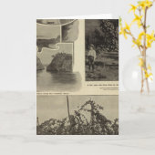 Oregon, waar elk vooruitzicht pleiten kaart (Gele Bloem)