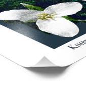 Oregon Waterfall Poster (Hoek)