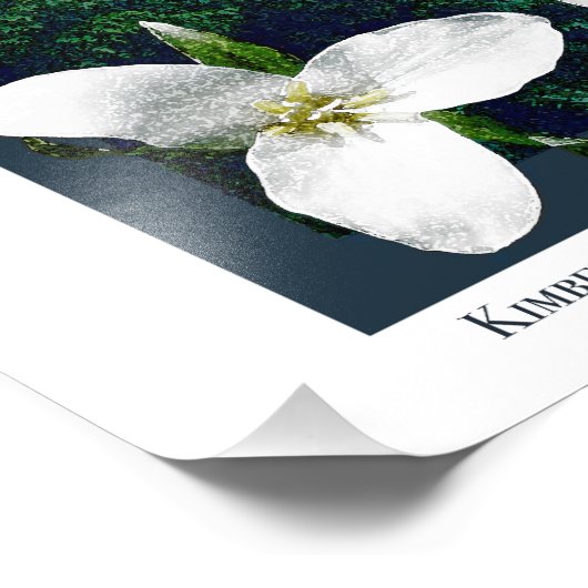 Oregon Waterfall Poster (Hoek)