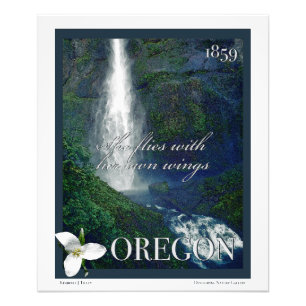Oregon Waterfall Poster