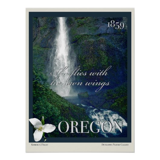 Oregon Waterfall Poster (Voorkant)