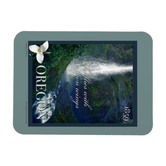 Oregon Waterfall Poster Magneet (Horizontaal)