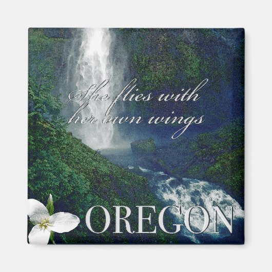 Oregon Waterfall Poster Magneet (Voorkant)