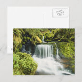 Oregon, Waterval in nationaal park Willamette Briefkaart (Voorkant / Achterkant)