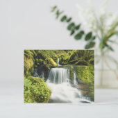 Oregon, Waterval in nationaal park Willamette Briefkaart (Staand voorkant)