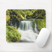 Oregon, Waterval in nationaal park Willamette Muismat (Met muis)