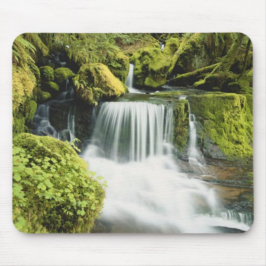 Oregon, Waterval in nationaal park Willamette Muismat (Voorkant)