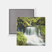 Oregon, Waterval in Willamette nationaal Magneet (Voorkant / Achterkant)
