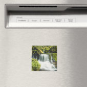 Oregon, Waterval in Willamette nationaal Magneet (Insitu (Vaatwasser))
