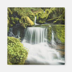 Oregon, Waterval in Willamette nationaal Magneet