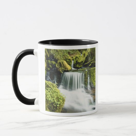 Oregon, Waterval in Willamette nationaal Mok (Links)