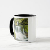 Oregon, Waterval in Willamette nationaal Mok (Voorkant links)