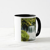 Oregon, Waterval in Willamette nationaal Mok (Voorkant rechts)