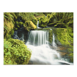 Oregon, Waterval in Willamette National Foto Afdruk