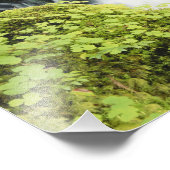 Oregon, Waterval in Willamette National Foto Afdruk (Hoek)