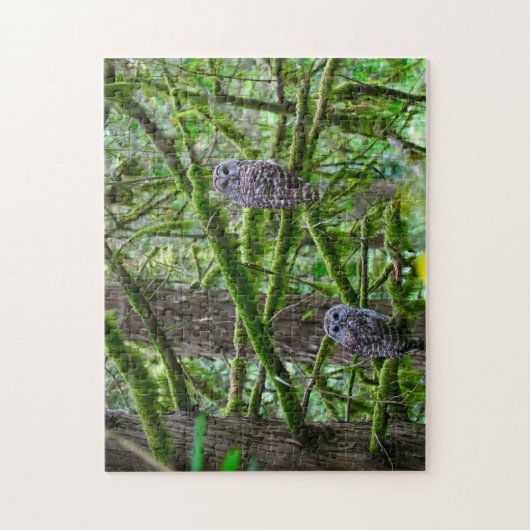 Oregon Wild Owl. Legpuzzel (Verticaal)