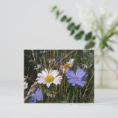 Oregon Wildbloemen Briefkaart (Staand voorkant)