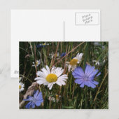 Oregon Wildbloemen Briefkaart (Voorkant / Achterkant)