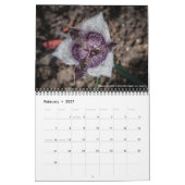 Oregon Wildflowers Kalender (Feb 2027)
