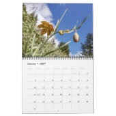 Oregon Wildflowers Kalender (Jan 2027)