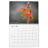 Oregon Wildflowers Kalender (Mar 2027)