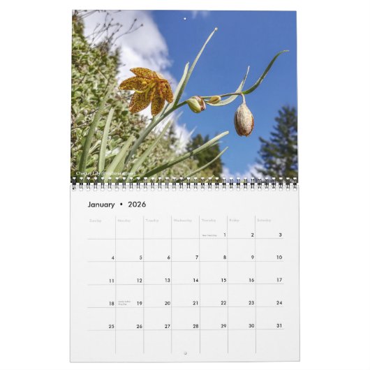 Oregon Wildflowers Kalender (Jan 2026)