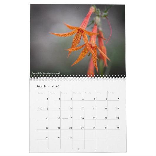 Oregon Wildflowers Kalender (Mar 2026)