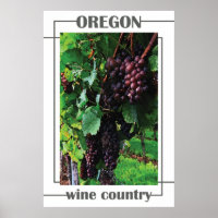 Oregon Wine Land
