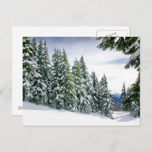 Oregon Winter Briefkaart (Voorkant / Achterkant)