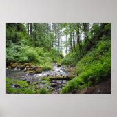 Oregonbos Poster (Voorkant)