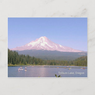 Oregon's mooie Trilliummeer Briefkaart