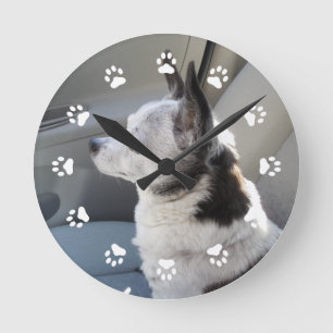 Oreo Colored Chihuahua Clock Ronde Klok