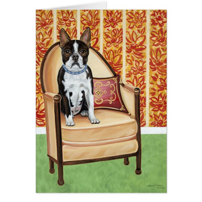 Oreo Cookie Boston (Voorkant)