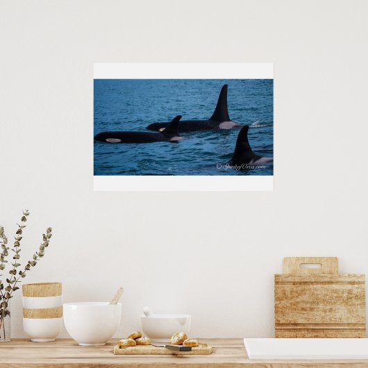 Oreo, Cookie en DoubleStuf Poster (Keuken)