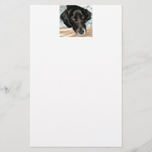 Oreo de Engelse Springer Spaniel Dog Briefpapier (Voorkant)