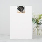 Oreo de Engelse Springer Spaniel Dog Briefpapier (Staand voorkant)