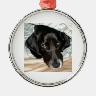 Oreo de Engelse Springer Spaniel Dog Metalen Ornament