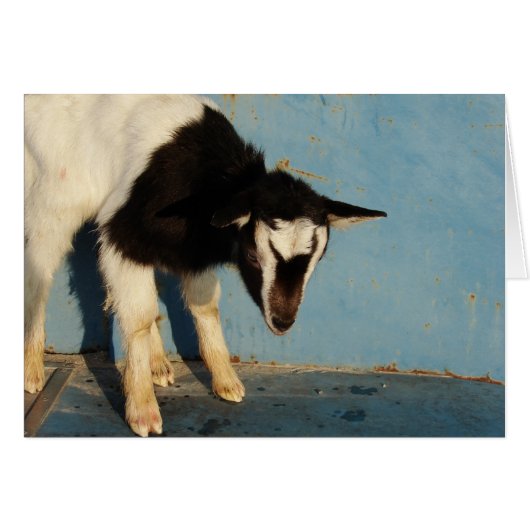 Oreo De GeitenKind (Voorkant Horizontaal)