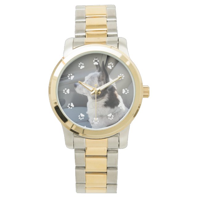 Oreo gekleurd Chihuahua horloge (Voorkant)