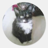 "OREO" RONDE STICKER (Voorkant)