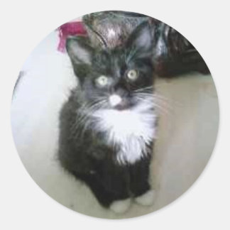 "OREO" RONDE STICKER