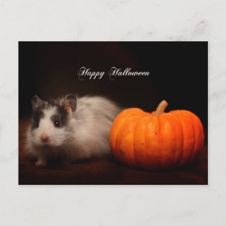 Oreo's Halloween Briefkaart