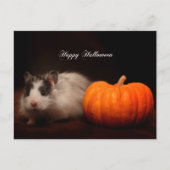 Oreo's Halloween Briefkaart (Voorkant)