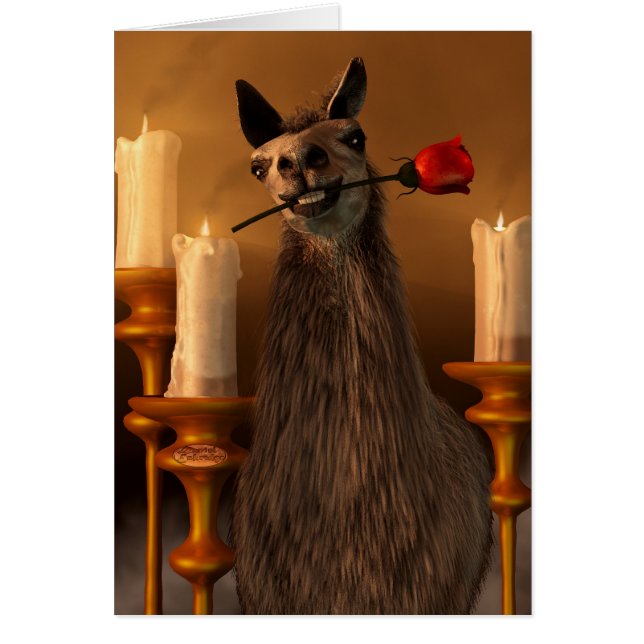 Orgaan (Voorkant)