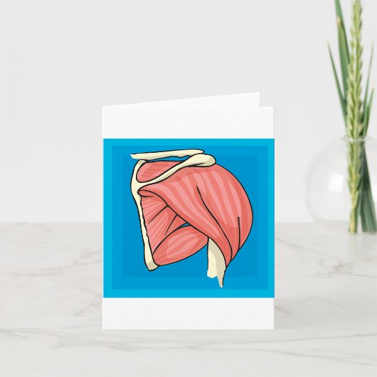 Orgaan Illustratie Kaart