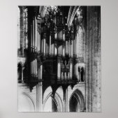 Orgaan Poster (Voorkant)