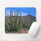 Orgaanbuizen in woestijn muismat (Met muis)